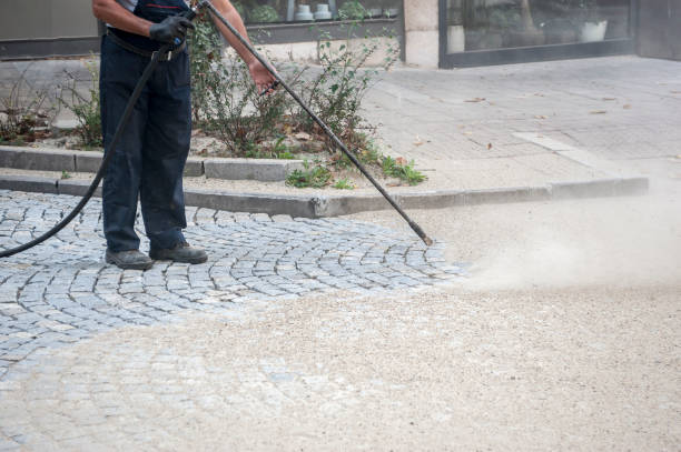 Animal Enclosure Cleaning in Barnwell, SC